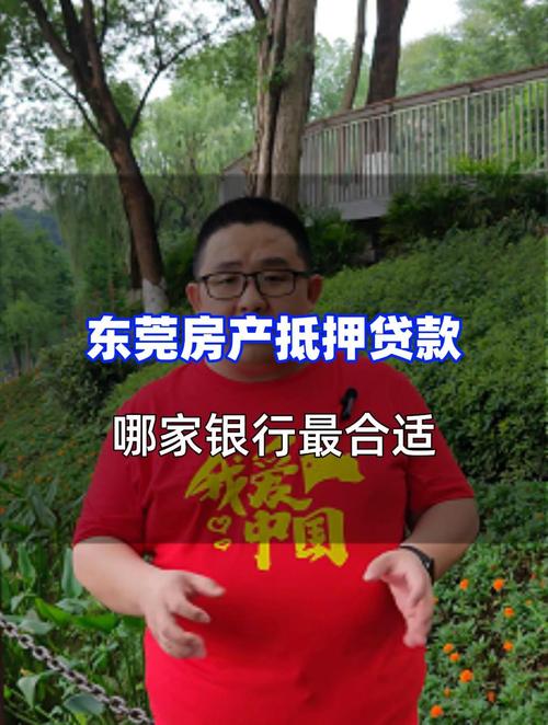 东莞企石车辆抵押贷款流程指南(东莞车辆抵押公司)